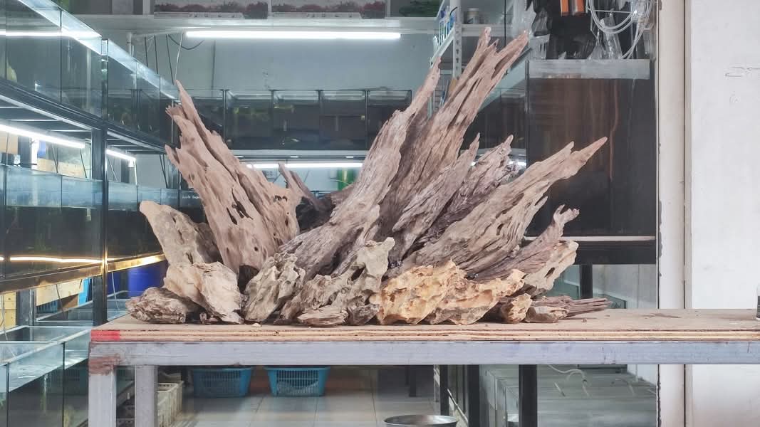 Driftwood & Root Structures — aquascape hardscape style by Qscapes