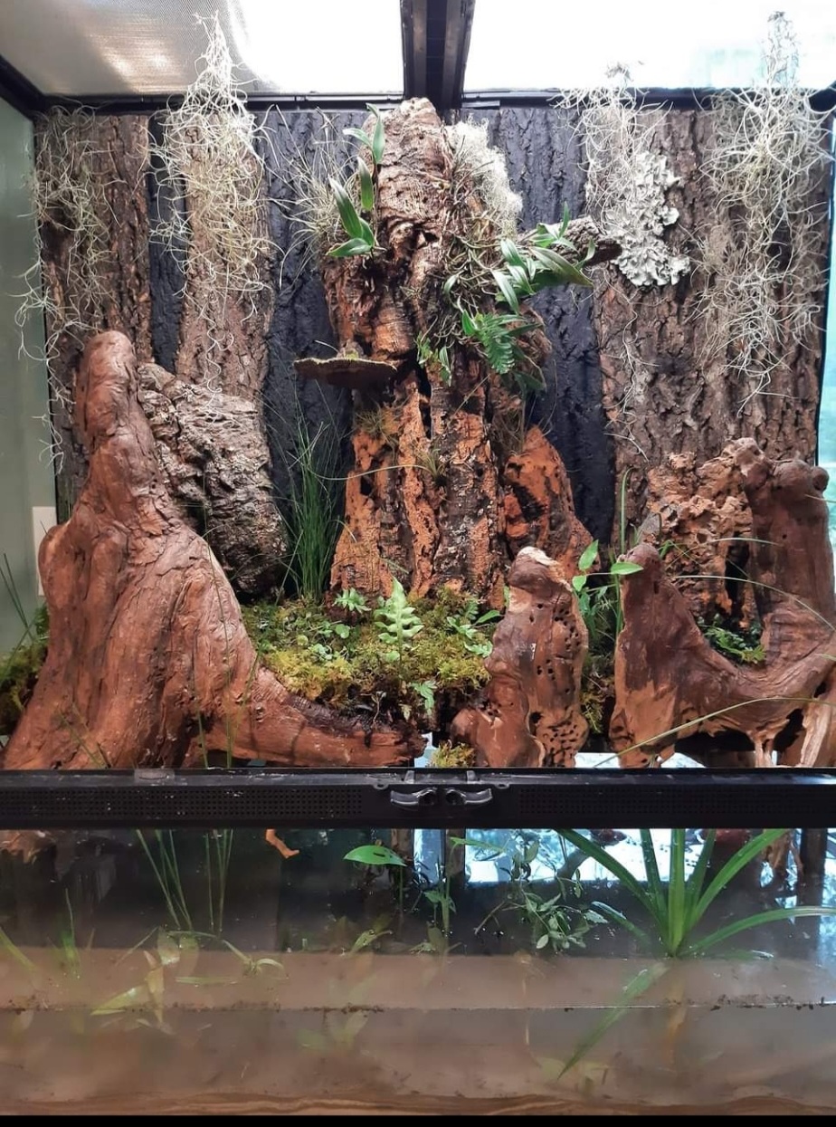 Qscapes custom creation 3