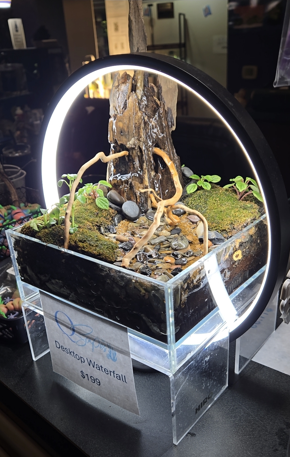 Custom aquascape creations by Qscapes, Altoona PA