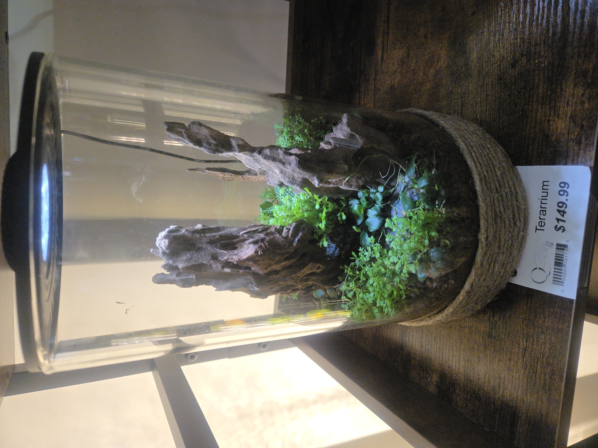 Handcrafted living ecosystem by Qscapes