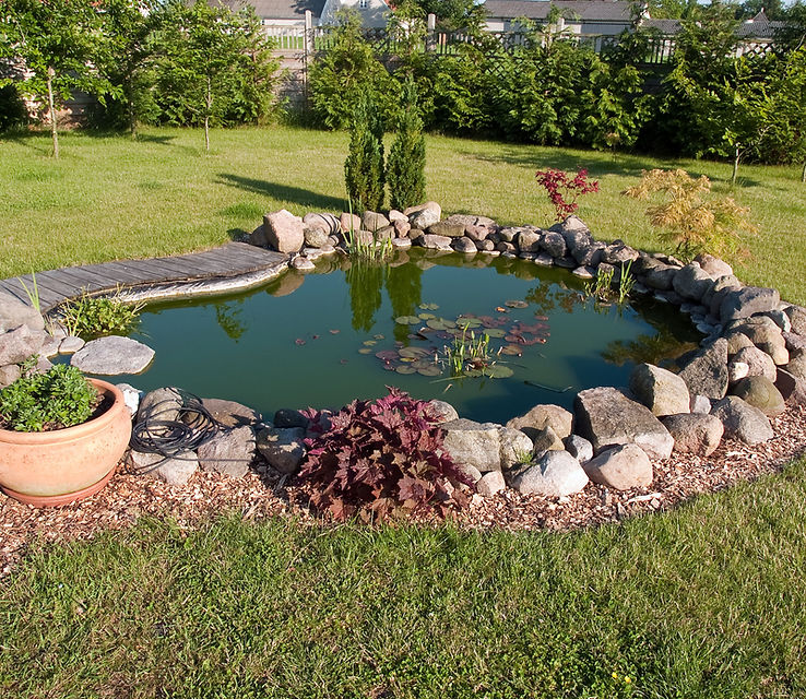 Qscapes pond example 2